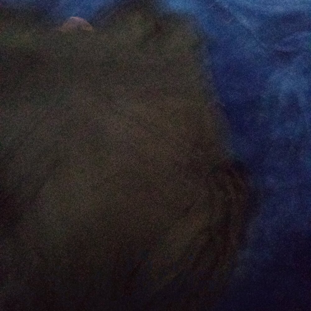 Bodysuit - Picture 5 of 8